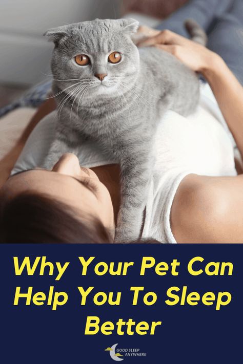 If you have a dog or a cat, you may know how they can help you to relax. The rhythmically calm breathing of a pet lying next to you is very calming and can help you to wind down and fall asleep. Therefore, the idea of using your dog or cat as deep touch pressure therapy is not that far-fetched. Calm Breathing, Deep Pressure Therapy, Deep Pressure, Child Sleep, Sleep Rituals, Baby Sign Language, Weighted Blankets, Sleep Health, Sleep Problems