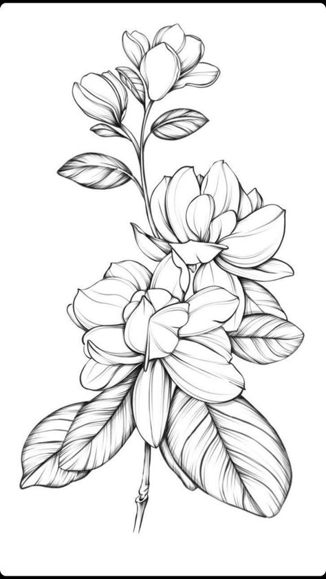 sampaguita tattoo | Flower tattoo drawings, Beautiful flower tattoos, Magnolia tattoo Flower Drawing Tattoo Sketches, Flower Tattoos Magnolia, Tattoo Sketches Flower, Gardenia Tattoo Sleeve, Gardenias Drawing, Gardenia Tattoo Design, Flower Tattoos Linework, Gardenia Outline, Gardenia Sketch