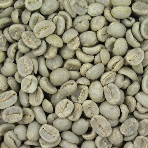 Organic Coffee Beans, Coffee Brewing Methods, Robusta Coffee, Arabica Coffee Beans, Green Coffee Bean Extract, Fair Trade Coffee, Single Origin Coffee, Green Coffee Bean, Dried Cherries