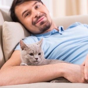 Men who love cats are smarter, kinder & stronger than men who don't - and there are statistics to prove my case. So here's why men SHOULD have cats. Holding Cat Pose, Cat Communication, Men With Cats, Sleeping Drawing, Older Cats, Cat Reference, Cat Stock, Cat Stands, Cat Stories