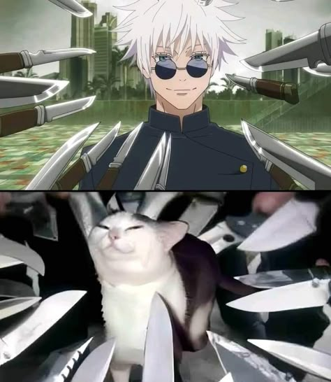 Gojo With Cat, Gojo Cat, Jujutsu Kaizen, Ju Jitsu, Cat Hacks, Anime Funny Moments, Pfp Ideas, Memes Anime, Anime Jokes