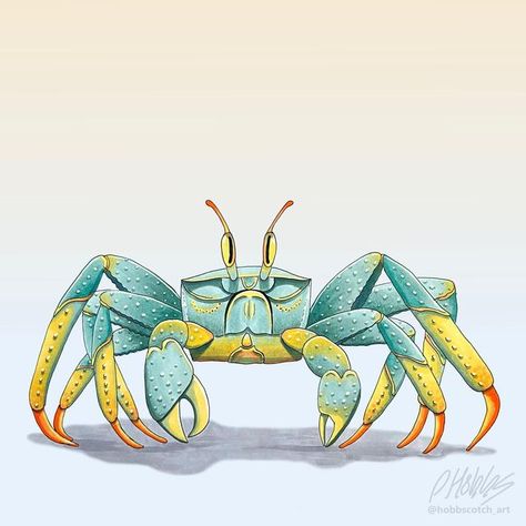 Ghost Crab Drawing, Hermit Crab Sketch, Crab Artwork, Crab Cute, Crab Drawing, Ghost Crab, Tattoo Perna, Crab Illustration, Nature Illustrations