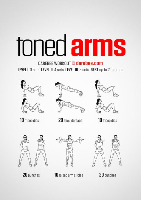 Super effective workout plan for women. easy to do at home workouts for beginners. Full body with no weights. Quick results. #tonearms #summer #flabbyarms Toned Arms Workout, Effective Workout Plan, Arm Flab, Arm Workouts At Home, Beginner Workout At Home, Beginner Workouts, Arm Workout Women, Arms Workout, Latihan Yoga