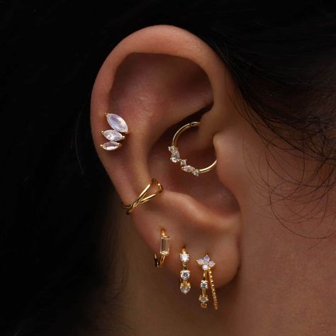 Stacked Earrings Ear Piercings, Ear Piercing Sets, Conch Daith Piercing, Gold Earring Stack Ideas 3 Holes, Daith Conch Combo, Ear Percinings Ideas, Daith And Conch Piercing Combination, Daith And Conch Piercing, Ear Piercings Daith