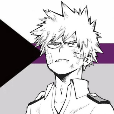 profile picture of bakugou katsuki with demisexual flag Bakugou Katsuki, Profile Picture, Flag, Rainbow, Anime