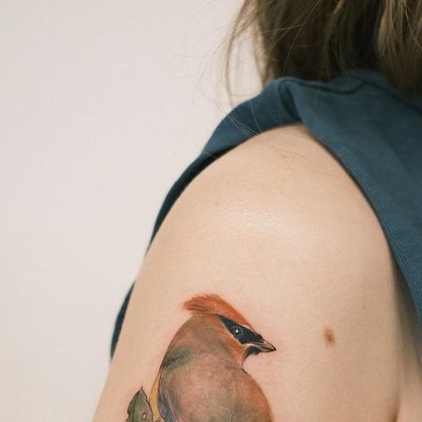 🔳▫️Eden▫️🔳 on Instagram: "🪶A cedar waxwing on a berry branch🔥 🪺" Cedar Waxwing Tattoo, Waxwing Tattoo, Berry Branch, Cedar Waxwing, August 10, Eden, Instagram A, Berry, Tattoos