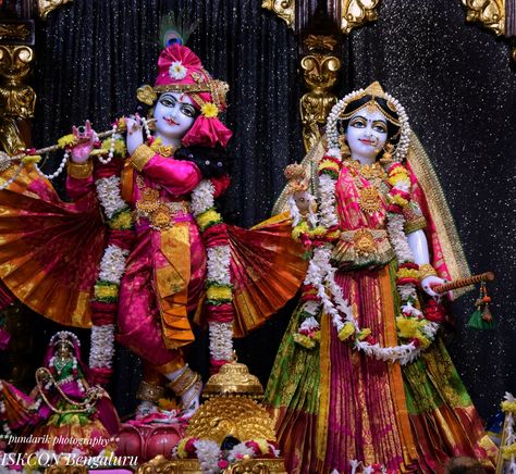 Today special Darshan ISKCON Bengaluru ❤️ Iskcon Bengaluru, Isckon Radhakrishna, Radhakrishna Images, Krishna Temple, Radha Krishna Songs, Shree Radhe, Sri Sri, Krishna Songs, Krishna Ji