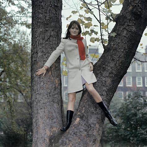 1960's Sandie Shaw, Red Scarves, Woolen Coat, Famous Women, Getty Images, High Neck Dress