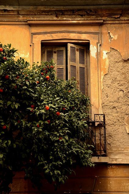 Santorini House, Istanbul Turkey Photography, Vignette Design, Greek House, Living In Europe, Vacation Pictures, Beautiful Country, Door Knockers, Neoclassical