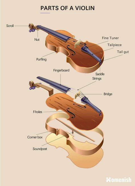 The violin is a musical instrument that is classified under string instruments. It is also a terrific piece for the living room stuff or music room. As a violinist, a violin student, or someone interested in violins, it is necessary to know the parts and components of a violin, the uses of these components, and how they work. Violin Diagram, Learning Violin, Violin Tuning, Violin Poster, Violin Sizes, Violin Shop, Violin Makers, Violin Instrument, Violin Parts