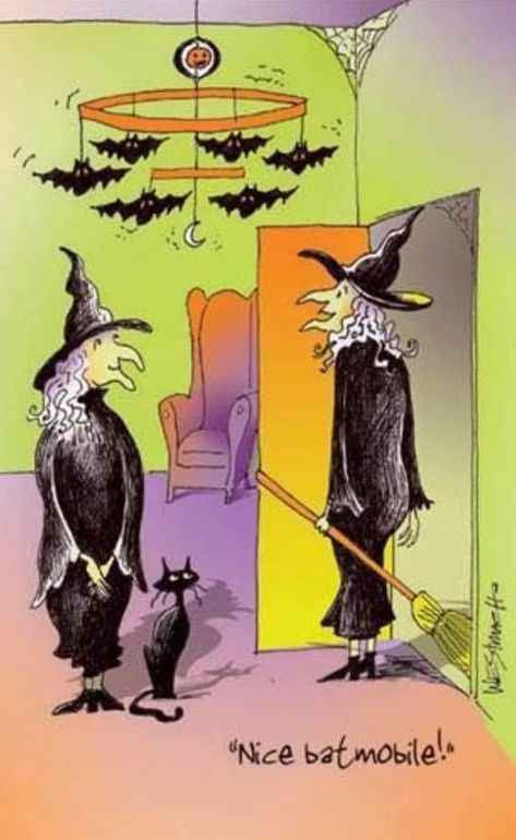 Halloween Funnies, Witch Humor, Halloween Funny Humor, Halloween Funnies Humor, Witch Meme, Halloween Humor, Cartoon Witch, Halloween Jokes, Witch Party