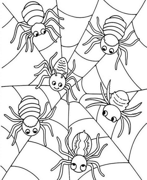 Fun Spider coloring pages for your little one. They are free and easy to print. The collection is varied with different skill levels Spider Coloring Pages, Spider Printable, Lucas The Spider, Monkey Coloring Pages, Spider Pictures, Spider Coloring Page, Halloween Coloring Sheets, Monkey Pictures, Coloring Page Ideas