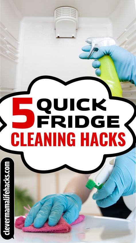 Cleaning The Fridge, Cleaning Refrigerator Hacks, Organised Fridge, Diy Dishwasher Cleaner, Fridge Cleaning Hacks, Fridge Cleaning, Homemaker Tips, Easy House Cleaning, Cleaning Hacks Tips And Tricks