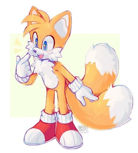 Fox Boy, Spyro The Dragon, Sonic Funny, Sonic Fan Characters, Hedgehog Art, Sonic Fan Art, Fox Art, Sonic Art, Cute Fox