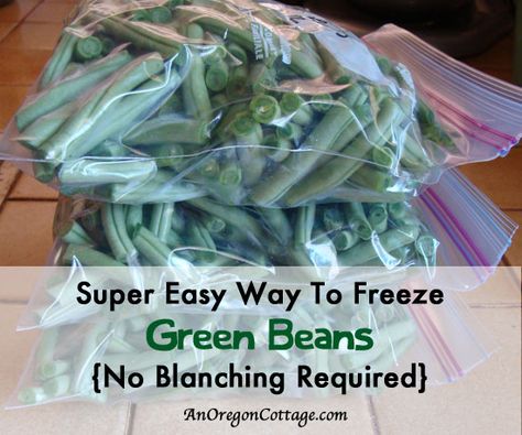 From anoregoncottage.com --how to freeze green beans without blanching. I have pickled 42 pints of green beans so far this summer and faced with more green beans, I think I'll try freezing! Seasoned Green Beans, Preserving Vegetables, Freezing Vegetables, Blanching Green Beans, Freeze Greens, Frozen Green Beans, Fresh Green Beans, Frozen Veggies, Food Saver