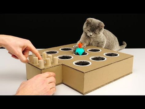 How to Make a Whack-A-Mole Game for Your Cat Cat Toys Diy Easy How To Make, How To Make A Cat Scratching Post, Wack A Mole Game Diy, Diy Whack A Mole Game, Diy Cat Toys Easy Cardboard Boxes, Diy For Cats, Diy For Pets, Cardboard Cat Toys, Cat Toy Diy