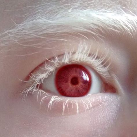 Eye Photography, Aesthetic Eyes, Images Esthétiques, Eye Art, Pretty Eyes, Photo Reference, Karakter Anime, An Eye, White Hair