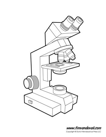 Anatomy of a Microscope Microscope Diagram, Microscope Worksheet, Parts Of A Microscope, College Essay Tips, Biology Test, Science Diagrams, Optical Microscope, Microscope Parts, Science Printables