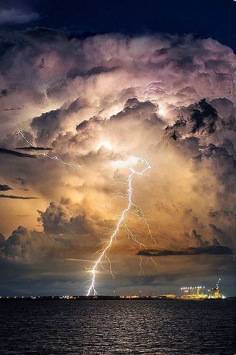 Lightning Photography, Wild Weather, Image Nature, Thunder And Lightning, Lightning Storm, Stormy Weather, Lightning Strikes, Storm Clouds, Natural Phenomena