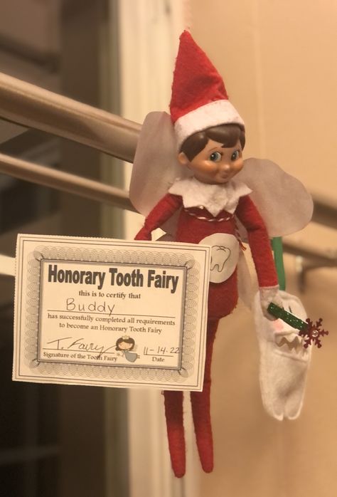 Elf On The Shelf And Tooth Fairy, Tooth Fairy And Elf On The Shelf, Tooth Fairy Elf On The Shelf, Elf And Tooth Fairy Ideas, Elf On The Shelf Tooth Fairy Ideas, Tooth Fairy Ideas, Fairy Ideas, Elf Activities, Elf Fun