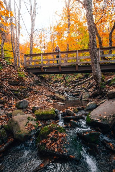 Sunrise Hike, Fall Hiking, Hiking Tips, Upstate New York, Stunning View, Beautiful Places, The Top, Hiking, Wonder