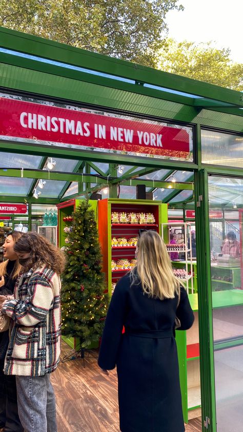 New York Christmas Market, York Christmas Market, Bryant Park Christmas Market, New York Aesthetic Winter, Nyc Core, Nyc Xmas, Library New York, 2023 Board, City Photoshoot