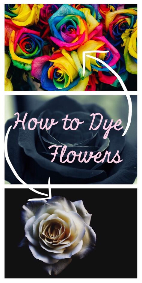 Black Flower Decoration, Fun Flower Arrangements, How To Dye Flowers, Diy Black Flowers, How To Dye Roses, How To Dye Flowers With Food Coloring, Diy Black Roses, How To Dye Silk Flowers, How To Dye Fake Flowers