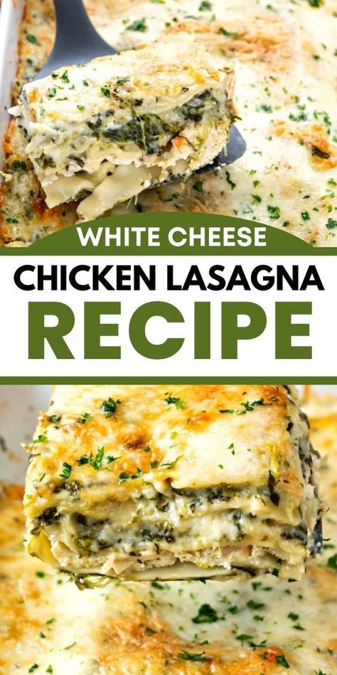 Take a break from the traditional red sauce meat lasagna and try this delicious white lasagna recipe. Chicken lasagna with white sauce is creamy, has loads of cheese and spinach and it just melts in your mouth! Lasagna Recipe Chicken, Lasagna With White Sauce, White Lasagna Recipe, White Sauce Lasagna, Chicken Spinach Lasagna, White Chicken Lasagna, Chicken Lasagna Recipe, Homemade Lasagna Recipes, Lasagna Recipe With Ricotta