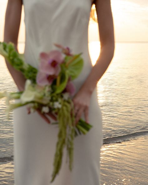 Obsessed! Absolutely in love with our summer photoshoot! A huge thanks to a great photographer and our model Photo @olexandra_kov Model @sashasoku Flowers @sweet.peadesignstudio #flowers #floraldesign #weddingflowers #weddingdesign #weddingfliraldesign #chucagoweddings #chicagoflorist #chicagoweddingflorist #wedding #bridalbouquet #bouquet #modernbouquet #anthurium #orchid Anthurium Orchid Bouquet, Wedding Bouquet With Orchids, Anthurium Wedding, Orchids Bouquet, Pastel Bridal Bouquet, Tropical Flowers Bouquet, Orchids Wedding, Orchid Bouquet Wedding, Modern Bouquet