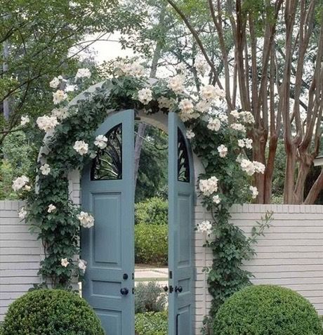 Climbing hydrangeas Garden Gates And Fencing, Garden Gate Design, Garden Entrance, Arched Doors, Lan Can, Front Gates, Wooden Gates, Open Door, Fence Gate