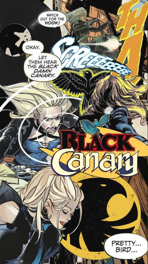 Black Canary Wallpaper, Battle Wallpaper, Dc Comics Wallpaper, Funny Phone Wallpaper, Black Canary, Dc Universe, Black Aesthetic, Your Aesthetic, Creative Energy