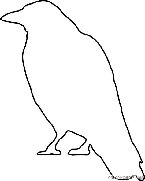 Crow Template, Raven Outline, Crow Outline, Wwe Coloring Pages, Zoo Coloring Pages, Farm Coloring Pages, White Crow, Craft Templates, Row Quilt