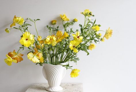 Yellow Butterfly Ranunculus, Ranunculus Butterfly, Yellow Ranunculus, Butterfly Ranunculus, Flower Varieties, Ranunculus Flowers, Bridal Luncheon, Hybrid Tea Roses, Yellow Butterfly