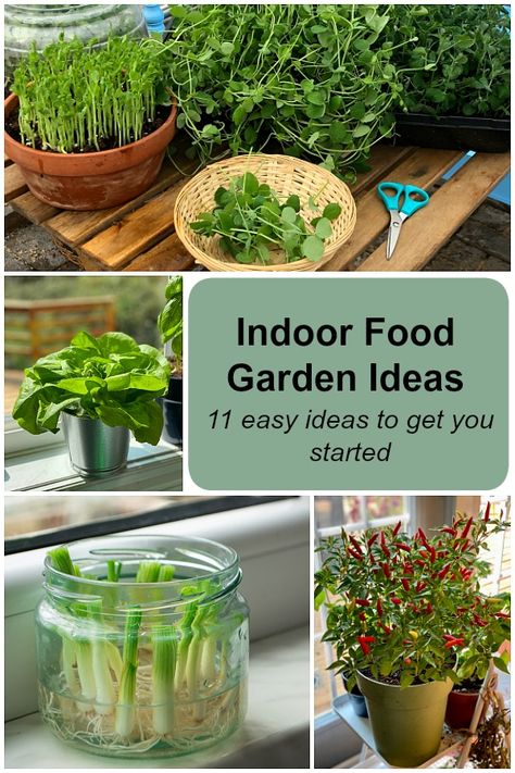 Indoor Veggie Garden Apartment, Home Growing Vegetables, Easy Indoor Garden, Condo Vegetable Garden, Container Gardening Indoor, Apartment Growing Vegetables, Indoor Vegetable Greenhouse, Indoor Food Garden Apartment, Grow Veggies Indoors