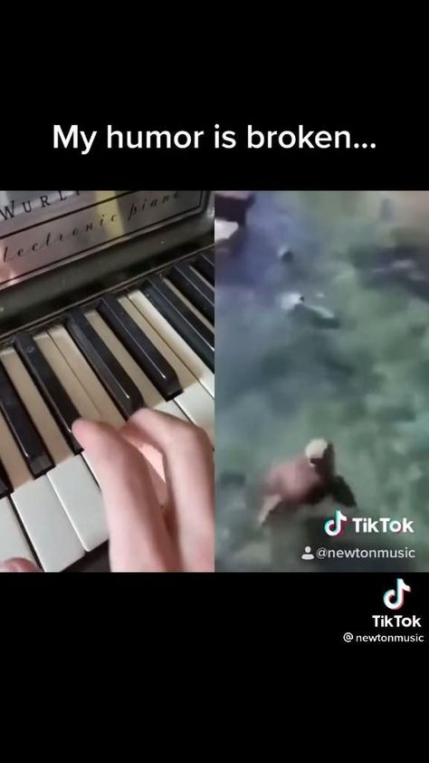 #videos #funny #music #seal Funny Music Videos Humor, Funny Art Videos, Funny Music Videos, Funny Seal, Musical Jokes, Funny Sounds, Broken Humor, Band Jokes, Music Jokes