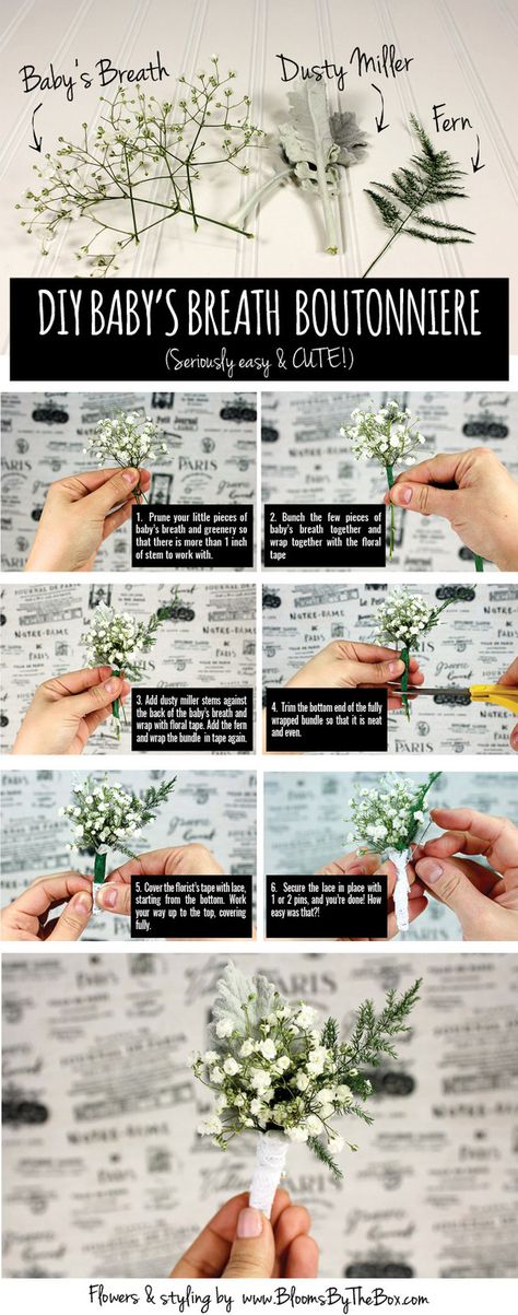 Diy Boutonniere, Babies Breath, Baby S Breath, Dusty Miller, Diy Wedding Flowers, White Wedding Flowers, Baby's Breath, Diy Baby, Trendy Wedding