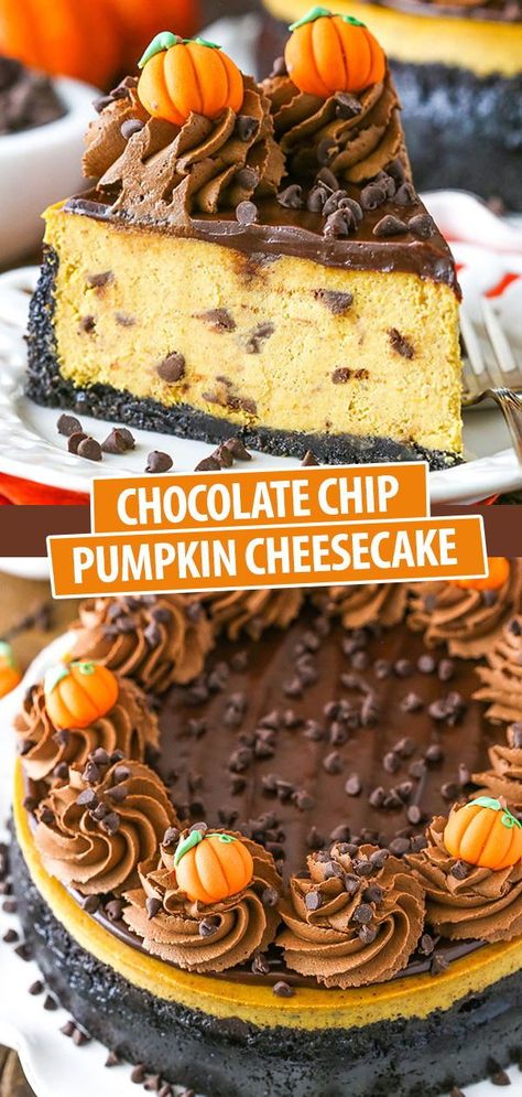 This Chocolate Chip Pumpkin Cheesecake is thick, creamy and full of pumpkin and chocolate! It’s a great flavor combination and such a fun Thanksgiving dessert idea! Easy Pumpkin Cheesecake, Life Love And Sugar, Cheesecake Pumpkin, Fun Thanksgiving Desserts, Mousse Cakes, Pumpkin Cheesecake Recipes, Thanksgiving Desserts Easy, Chocolate Chip Cheesecake, Chocolate Crust