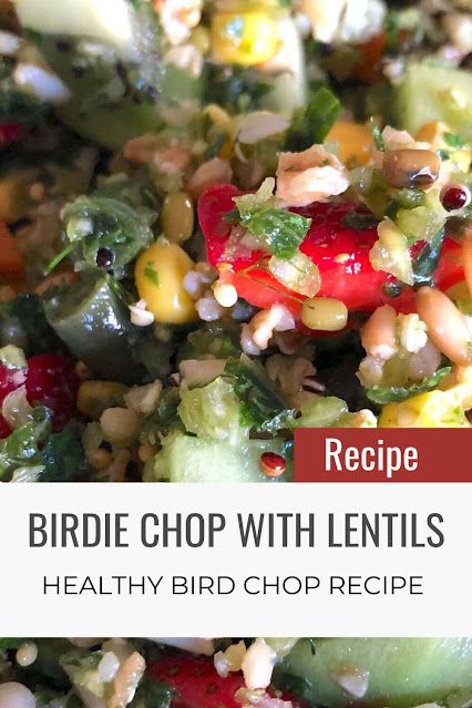 Birdie Chop with Lentils [healthy recipes] — Prego Dalliance Sanctuary Bird Chop Recipes, Bird Enrichment, Parrot Chop, Bird Bread, Bird Recipes, Parrot Diet, Parrot Food, Bird Sanctuary, Complete Nutrition