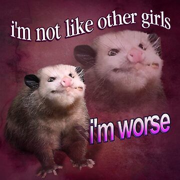 "I'm not like other girls, I'm worse possum word art" Pin for Sale by snazzyseagull | Redbubble Funny Ferrets, I'm Not Like Other Girls, Awesome Possum, Street Cat, Funny Animal Photos, Trash Panda, Silly Animals, Very Funny Pictures, Cute Memes