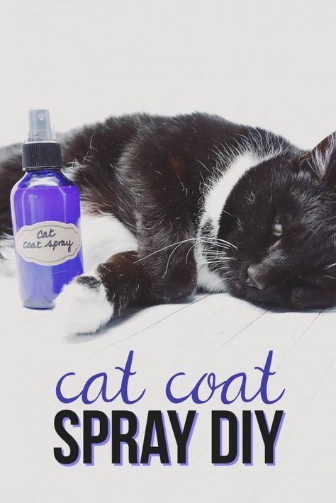 Cat Shampoo, Cat Hacks, Cat Spray, Diy Sprays, Cat Care Tips, Diy Cat, Cat Carrier, Cat Training, Pet Hacks