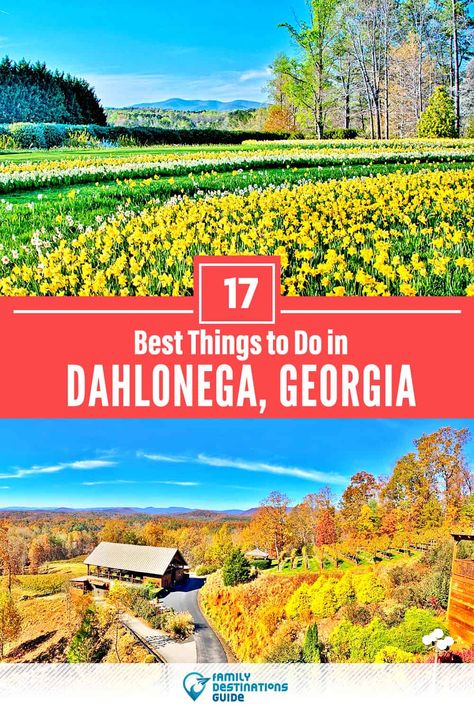 17 Best Things to Do in Dahlonega, GA — Top Activities & Places to Go! Dawsonville Georgia Things To Do, Things To Do In Dahlonega Ga, Dahlonega Georgia Things To Do, Things To Do In Georgia, Georgia Getaways, Georgia Christmas, Acworth Georgia, Georgia Travel Guide, Amicalola Falls