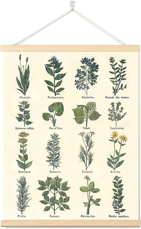 Amazon.com: Armindou Vintage Flowers Poster Prints, Cottagecore Plant Floral Reference Chart Canvas Art Wall Decor, Rustic Botanical Fleurs Hanging Posters for Bedroom Room Aesthetic Decors Frame,16 x 22 Inches: Posters & Prints Vintage Herbs, Cottagecore Posters, Posters Nature, Green Cottagecore, Herb Wall, Hanging Plant Wall, Pictures Wall, Wall Art Hanging, Botanical Decor