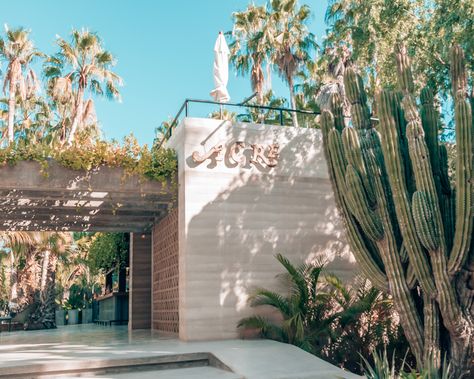 Acre Baja: A Luxury Treehouse Hotel in Cabo - FashionTravelRepeat Acre Resort Cabo, Acre Cabo, Cabo Vibes, Best Restaurants In Seattle, Luxury Treehouse, Acre Baja, Cabo Resorts, Luxury Tree Houses, Hotel San Jose