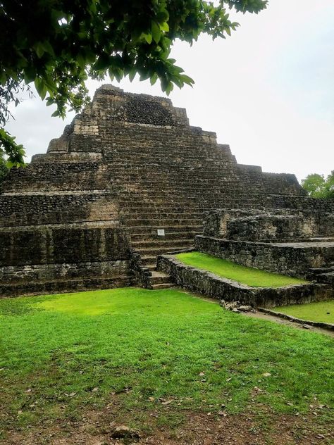 Chacchoben Mayan Ruins Mexico Mayan Ruins Mexico, Mexico Ruins, Coba Mexico, Cruise Vibes, Mayan Ruins, South America, Hiking, Mexico, Ruins