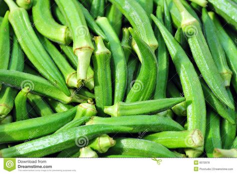 okra (lady fingers) | Okra(lady Finger) Royalty Free Stock Photos - Image: 8370978 Lady Fingers, Start Your Business, Start Your Own Business, Recipe Images, Okra, Your Own Business, Free Stock Photos Image, Job Opportunities, Sunny Day