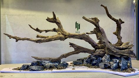 Mopani Wood Aquascape, Brazilian Aquascape, Aquascape Design Natural, Hardscape Aquarium, Aquarium Hardscape, Coral Aquarium, Cichlid Aquarium, Aquarium Architecture, Fish Aquarium Decorations