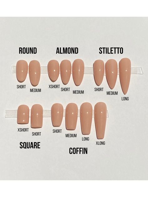 Natural And White Nails, Nails Length And Shape, Nail Shape Examples, S Size Nails, Silver Press On Nails, Almond Nail Length Chart, Nail Length Chart And Shape, Different Nail Shapes On One Hand, Nail Lengths And Shape Chart