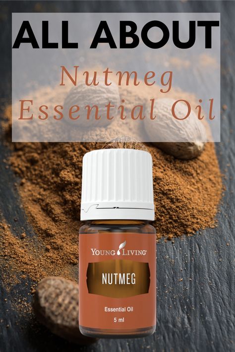 Nutmeg essential oil has a spicy aroma with a touch of sweetness. Nutmeg is great to use during the holidays because it pairs well with other festive oils. Learn more about nutmeg and how I use it. #NutmegEssentialOil #essentialoiluses #essentialoilbenefits | EOGuys.com Nutmeg Essential Oil Benefits, Nutmeg Oil Benefits, Nutmeg Essential Oil Blends, Nutmeg Essential Oil Young Living, Essential Oils For Inflammation, Nutmeg Oil, Nutmeg Essential Oil, Simply Earth, Natural Pain Relievers