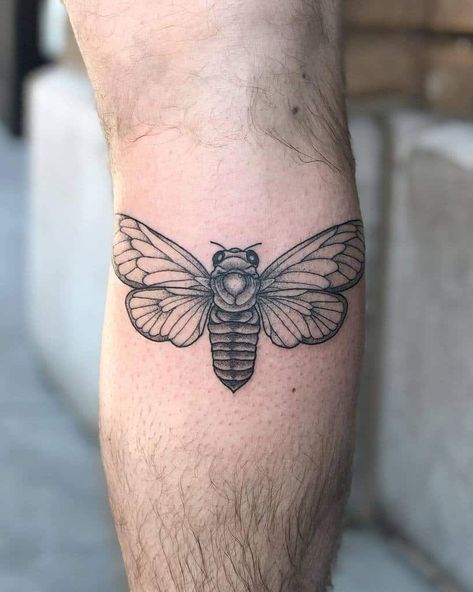 Insect Finger Tattoo, Cicada Tattoo, Fly Tattoo, Flying Tattoo, Ancient Tattoo, Body Decoration, Tattoo Themes, Single Needle Tattoo, Bug Tattoo