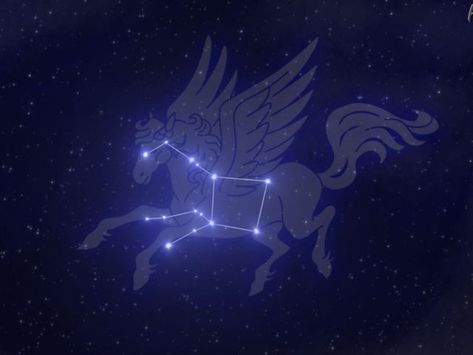 Horse Constellation Tattoo, Pegasus Constellation Tattoo, Horse Constellation, Pegasus Symbol, Pegasus Constellation, Pegasus Tattoo, Pisces Constellation Tattoo, Celtic Zodiac, Leo Constellation Tattoo